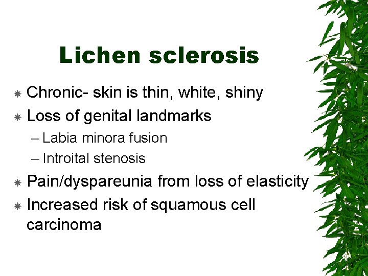 Lichen sclerosis Chronic- skin is thin, white, shiny Loss of genital landmarks – Labia