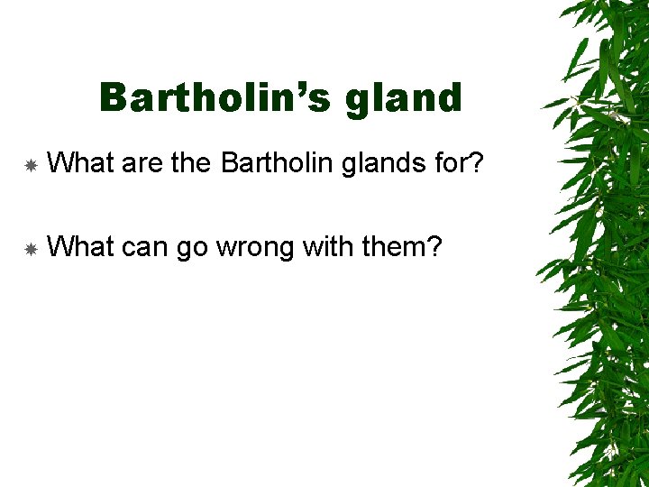 Bartholin’s gland What are the Bartholin glands for? What can go wrong with them?