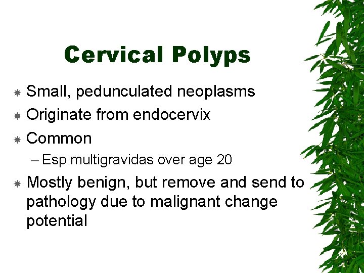 Cervical Polyps Small, pedunculated neoplasms Originate from endocervix Common – Esp multigravidas over age