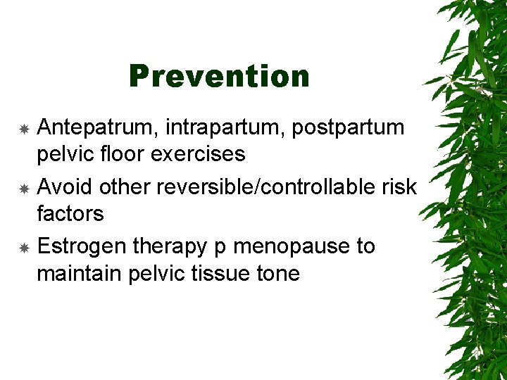Prevention Antepatrum, intrapartum, postpartum pelvic floor exercises Avoid other reversible/controllable risk factors Estrogen therapy