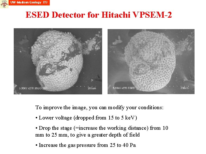 ESED Detector for Hitachi VPSEM-2 To improve the image, you can modify your conditions: