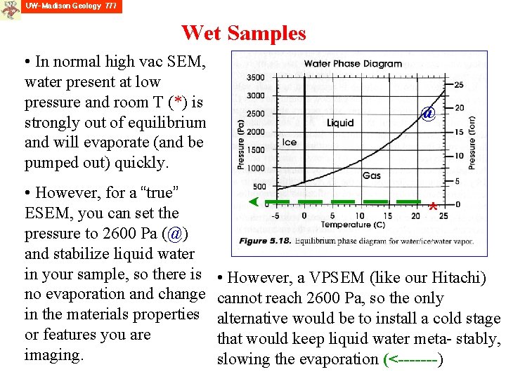 Wet Samples • In normal high vac SEM, water present at low pressure and