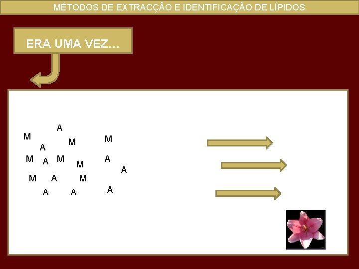 MÉTODOS DE EXTRACÇÃO E IDENTIFICAÇÃO DE LÍPIDOS ERA UMA VEZ… A M A M