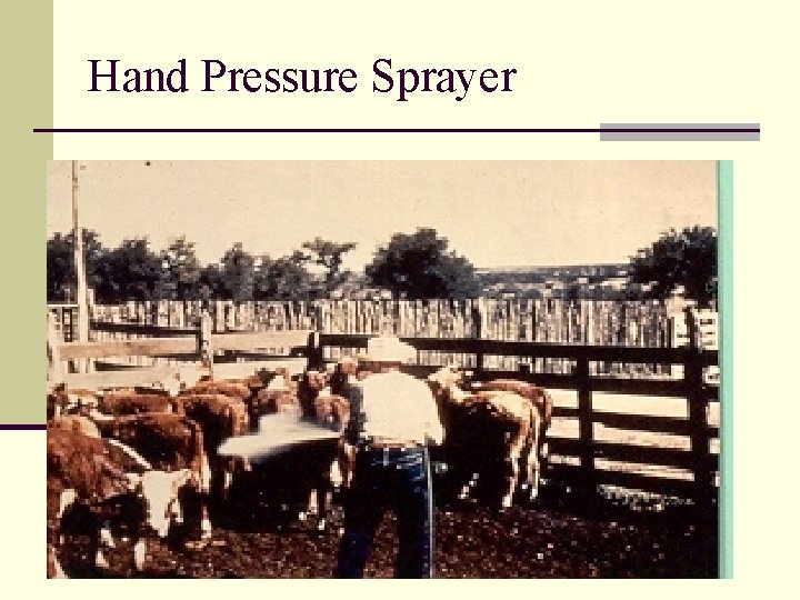 Hand Pressure Sprayer 