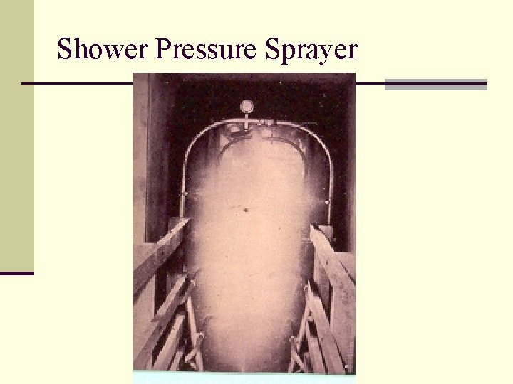 Shower Pressure Sprayer 
