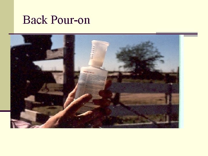 Back Pour-on 