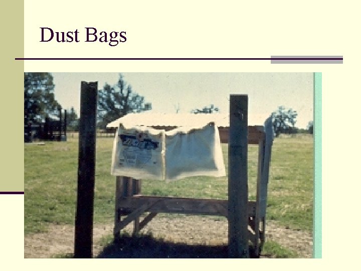 Dust Bags 