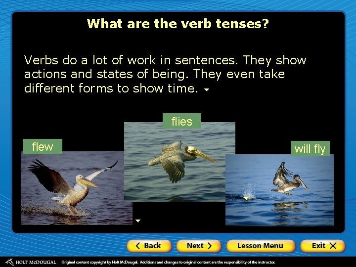 What are the verb tenses? Verbs do a lot of work in sentences. They