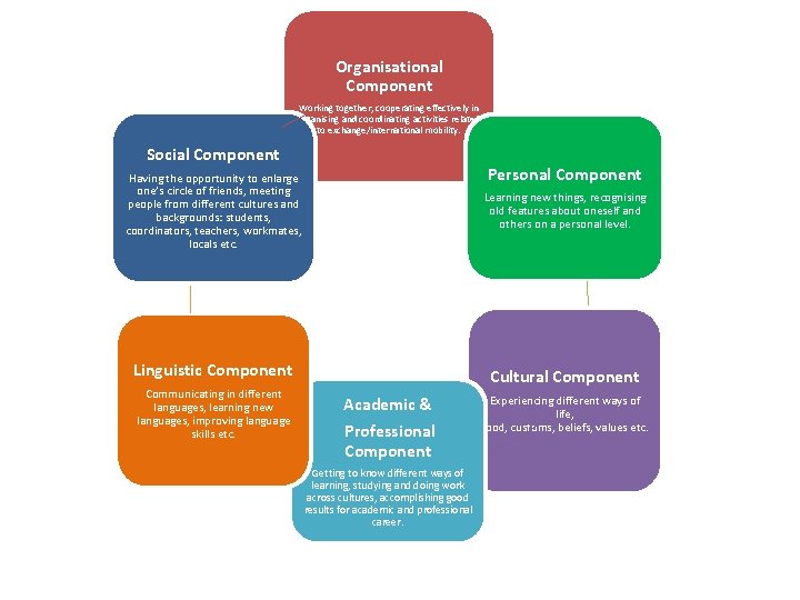 Organisational Component Working together, cooperating effectively in organising and coordinating activities related to exchange/international