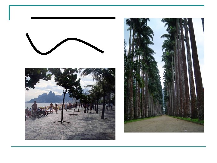 ELEMENTOS BSICOS DE COMPOSIO DE UMA IMAGEM Toda