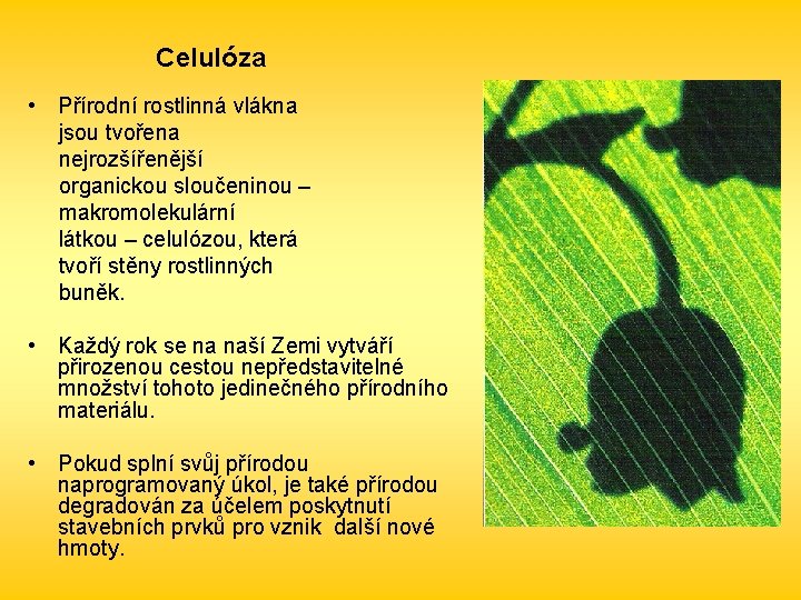 Celulóza • Přírodní rostlinná vlákna jsou tvořena nejrozšířenější organickou sloučeninou – makromolekulární látkou –