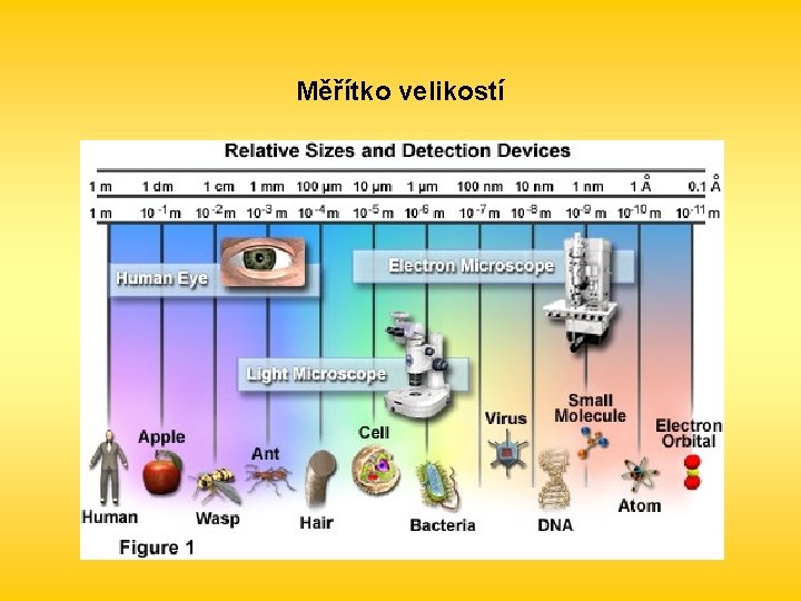 Měřítko velikostí 