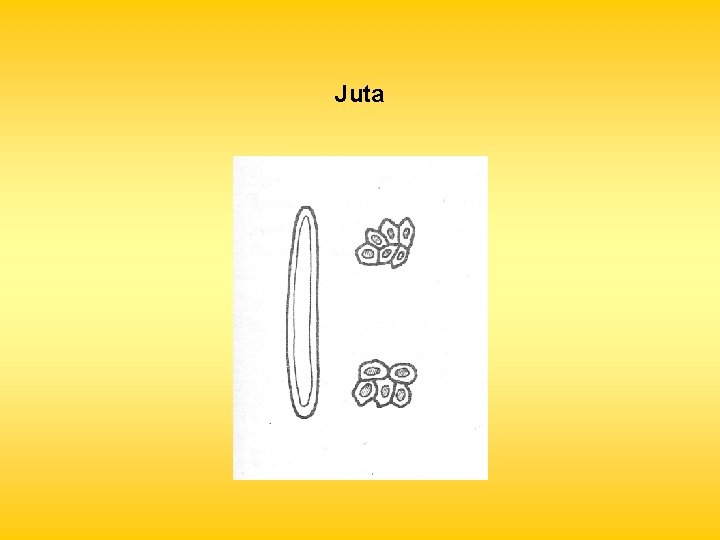 Juta 