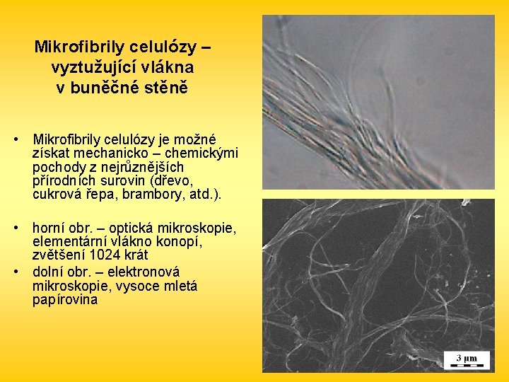Mikrofibrily celulózy – vyztužující vlákna v buněčné stěně • Mikrofibrily celulózy je možné získat