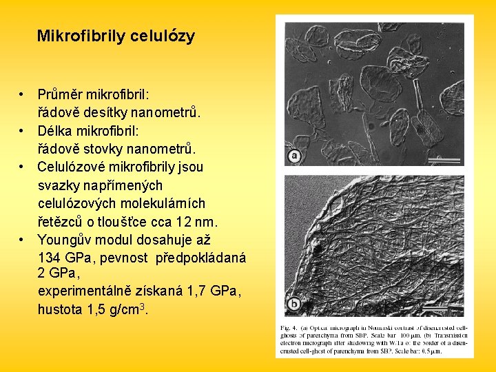 Mikrofibrily celulózy • Průměr mikrofibril: řádově desítky nanometrů. • Délka mikrofibril: řádově stovky nanometrů.