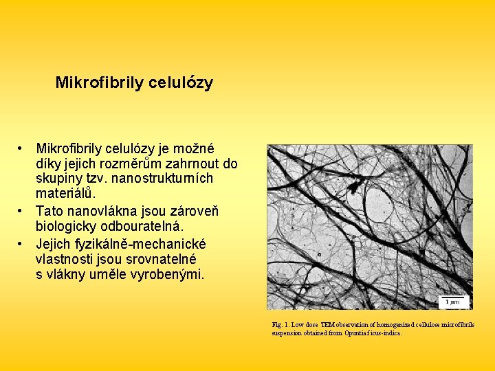 Mikrofibrily celulózy • Mikrofibrily celulózy je možné díky jejich rozměrům zahrnout do skupiny tzv.