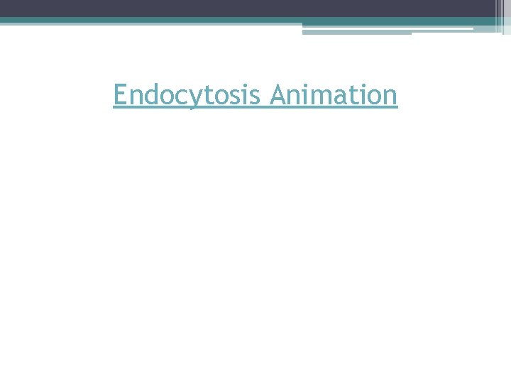 Endocytosis Animation 