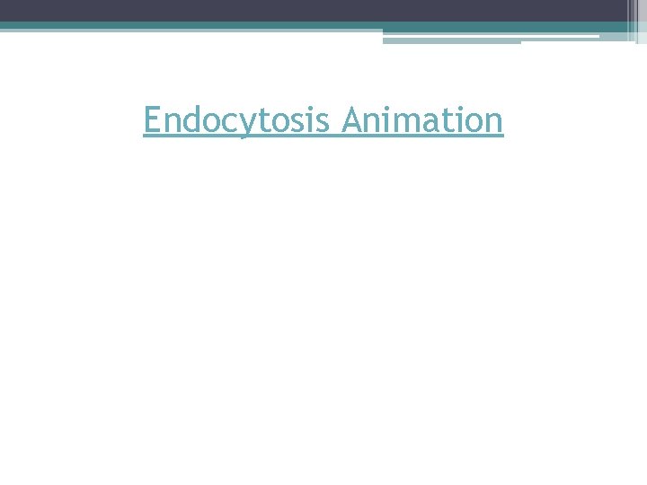 Endocytosis Animation Endocytosis Animation