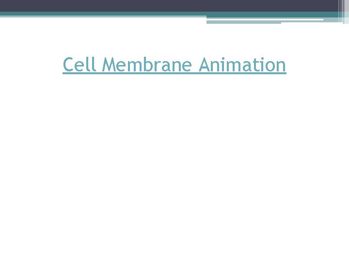 Cell Membrane Animation Cell Membrane Animation