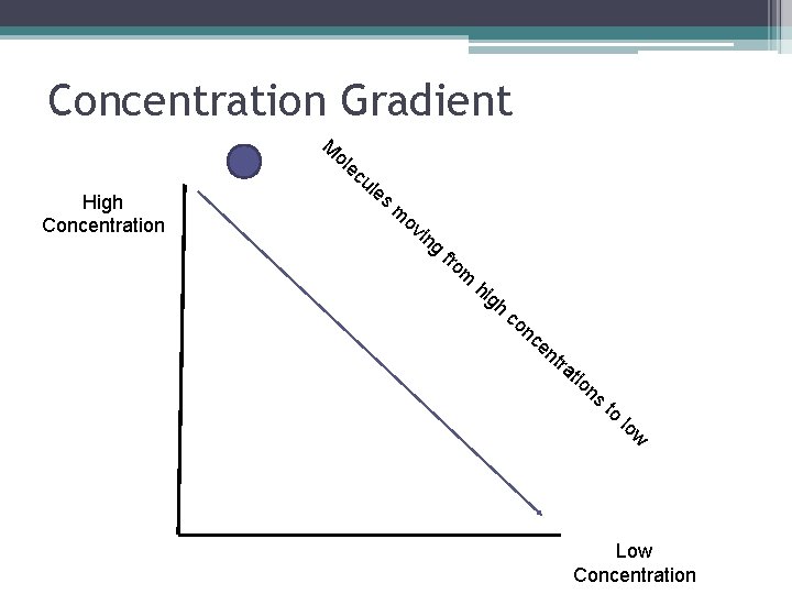 Concentration Gradient M ol High Concentration ec ul es m ov in g fro