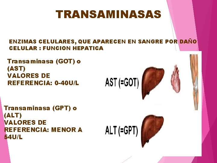 TRANSAMINASAS ENZIMAS CELULARES, QUE APARECEN EN SANGRE POR DAÑO CELULAR : FUNCION HEPATICA Transaminasa