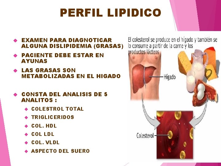 PERFIL LIPIDICO EXAMEN PARA DIAGNOTICAR ALGUNA DISLIPIDEMIA (GRASAS) PACIENTE DEBE ESTAR EN AYUNAS LAS