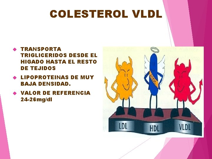 COLESTEROL VLDL TRANSPORTA TRIGLICERIDOS DESDE EL HIGADO HASTA EL RESTO DE TEJIDOS LIPOPROTEINAS DE