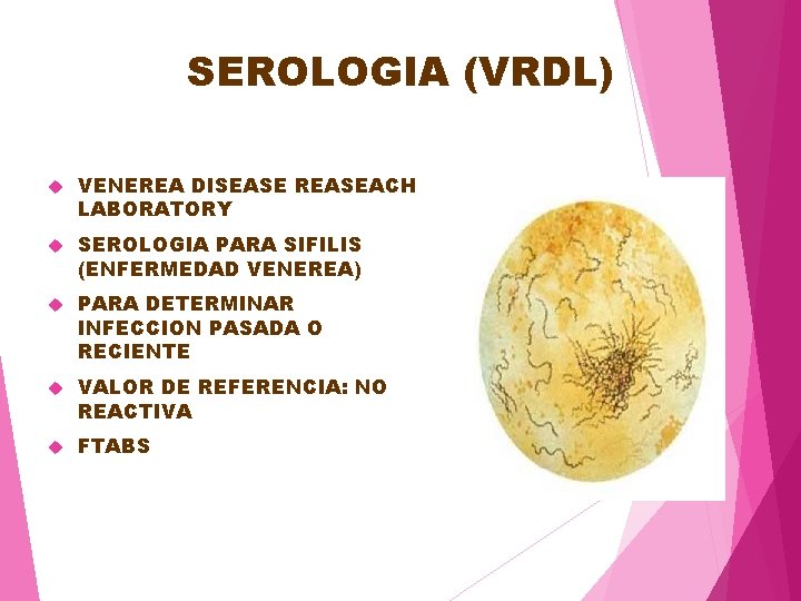 SEROLOGIA (VRDL) VENEREA DISEASE REASEACH LABORATORY SEROLOGIA PARA SIFILIS (ENFERMEDAD VENEREA) PARA DETERMINAR INFECCION