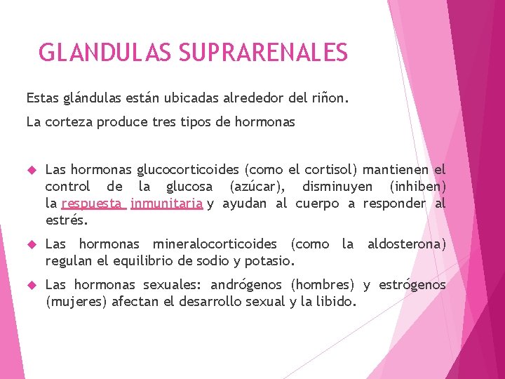 GLANDULAS SUPRARENALES Estas glándulas están ubicadas alrededor del riñon. La corteza produce tres tipos