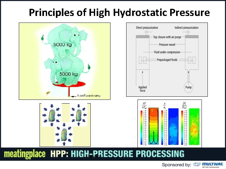 Principles of High Hydrostatic Pressure ( Listeria 