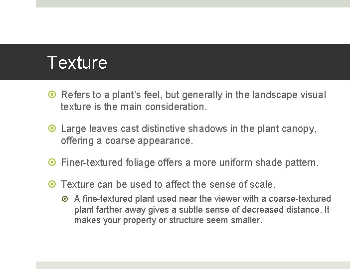 Texture Refers to a plant’s feel, but generally in the landscape visual texture is