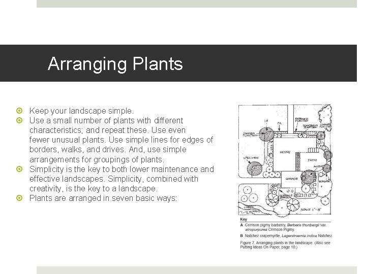 Arranging Plants Keep your landscape simple. Use a small number of plants with different