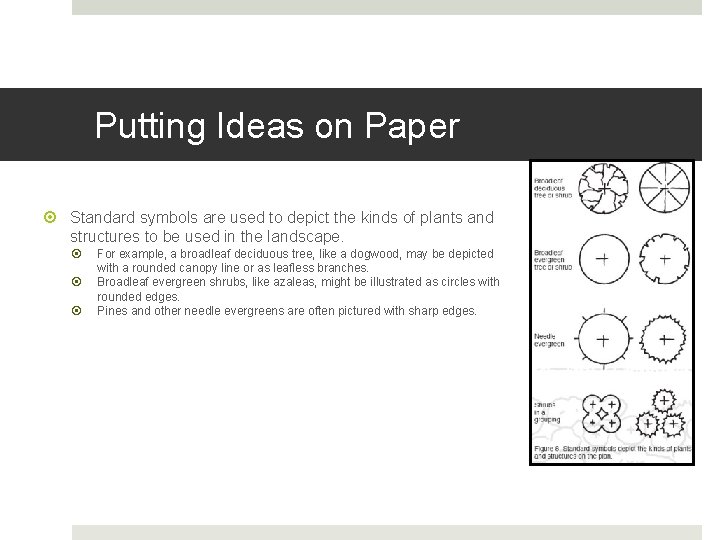 Putting Ideas on Paper Standard symbols are used to depict the kinds of plants