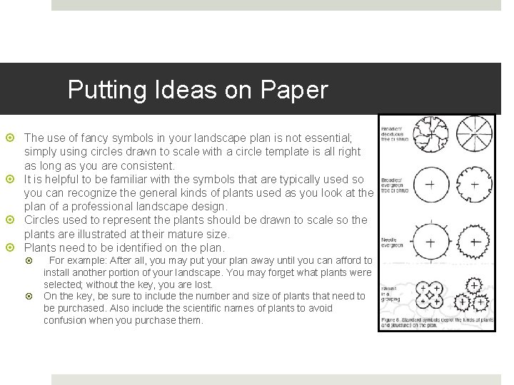 Putting Ideas on Paper The use of fancy symbols in your landscape plan is