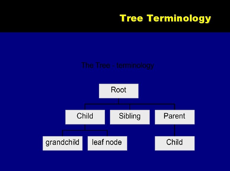 Tree Terminology 