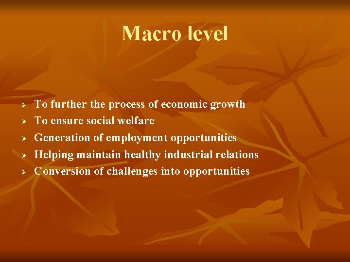 Macro level Ø Ø Ø To further the process of economic growth To ensure