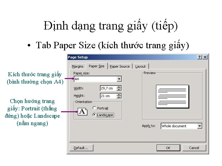 Định dạng trang giấy (tiếp) • Tab Paper Size (kích thước trang giấy) Kích
