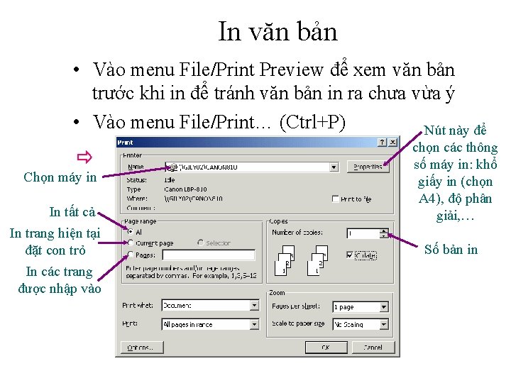 In văn bản • Vào menu File/Print Preview để xem văn bản trước khi