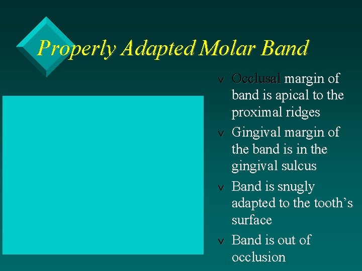 Properly Adapted Molar Band v v Occlusal margin of band is apical to the