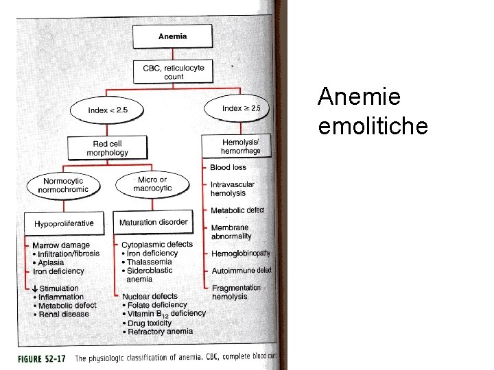 Anemie emolitiche 