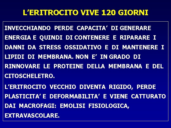 L’ERITROCITO VIVE 120 GIORNI INVECCHIANDO PERDE CAPACITA’ DI GENERARE ENERGIA E QUINDI DI CONTENERE