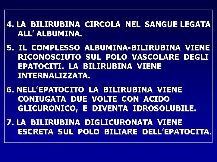4. LA BILIRUBINA CIRCOLA NEL SANGUE LEGATA ALL’ ALBUMINA. 5. IL COMPLESSO ALBUMINA-BILIRUBINA VIENE