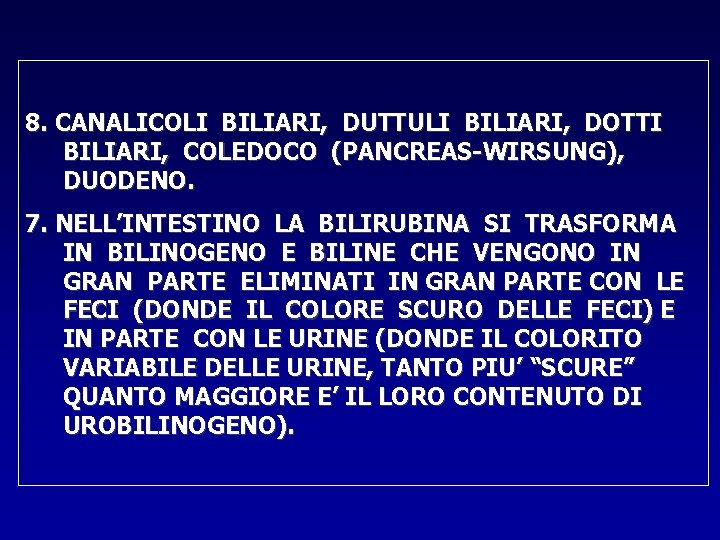 8. CANALICOLI BILIARI, DUTTULI BILIARI, DOTTI BILIARI, COLEDOCO (PANCREAS-WIRSUNG), DUODENO. 7. NELL’INTESTINO LA BILIRUBINA