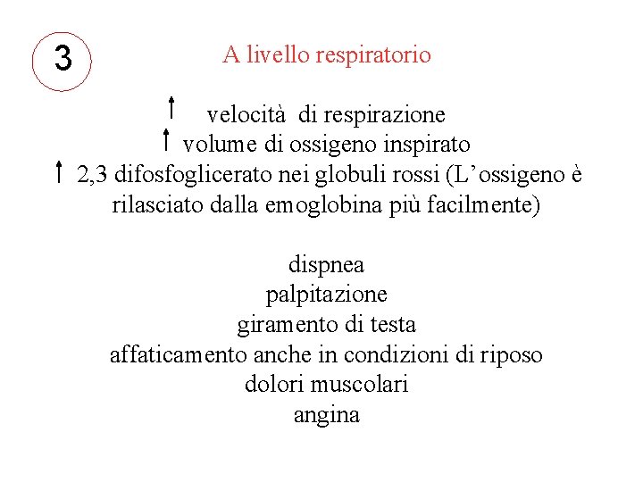 3 A livello respiratorio velocità di respirazione volume di ossigeno inspirato 2, 3 difosfoglicerato