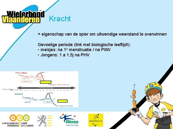 Kracht = eigenschap van de spier om uitwendige weerstand te overwinnen Gevoelige periode (link