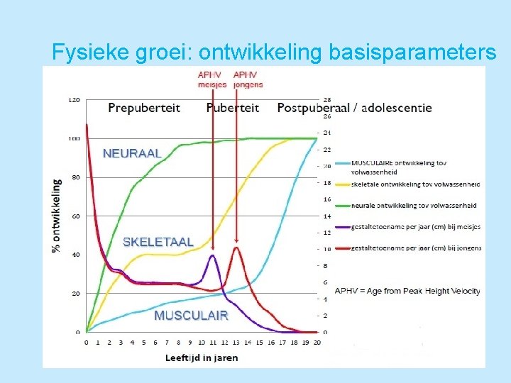 Fysieke groei: ontwikkeling basisparameters 