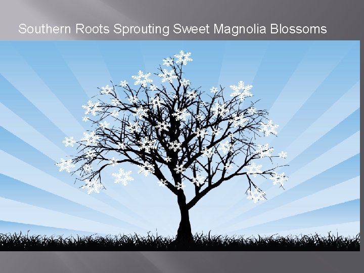 Southern Roots Sprouting Sweet Magnolia Blossoms 