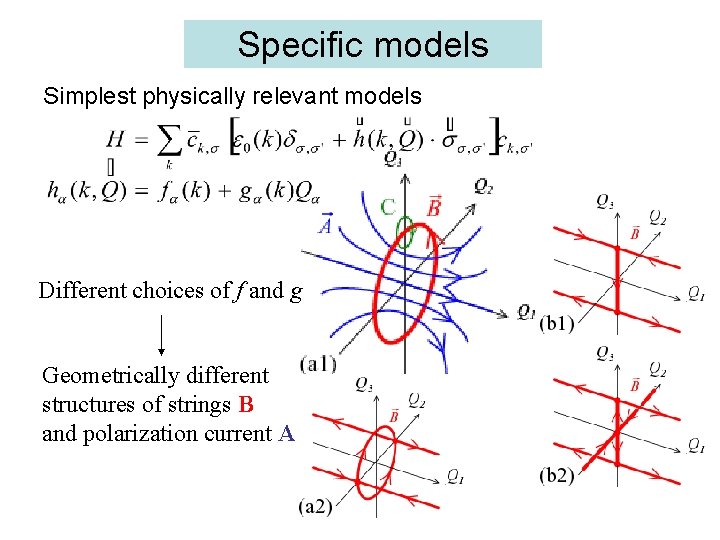 Specific models Simplest physically relevant models Different choices of f and g Geometrically different