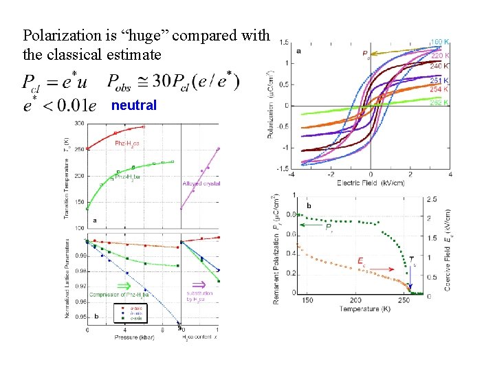 Polarization is “huge” compared with the classical estimate neutral 
