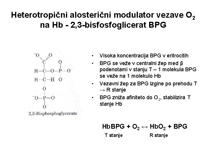 Heterotropični alosterični modulator vezave O 2 na Hb - 2, 3 -bisfosfoglicerat BPG •